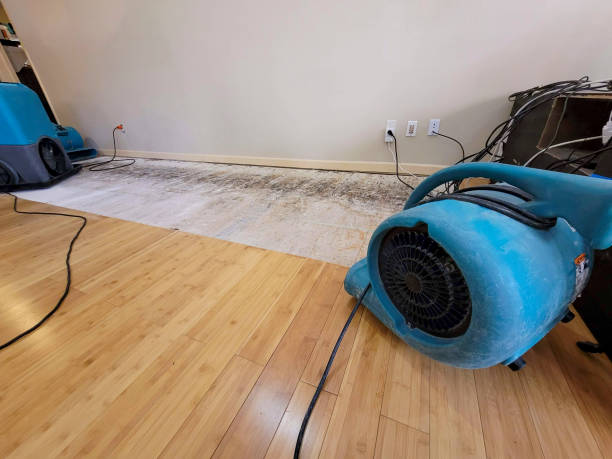 Reliable Flood Damage Restoration contractor in Springfield, MN by Hirex Water Damage