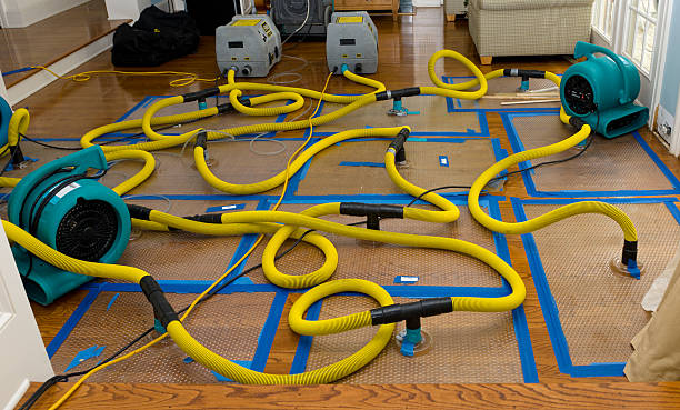 Professional Flood Damage Restoration technician working in Springfield, MN